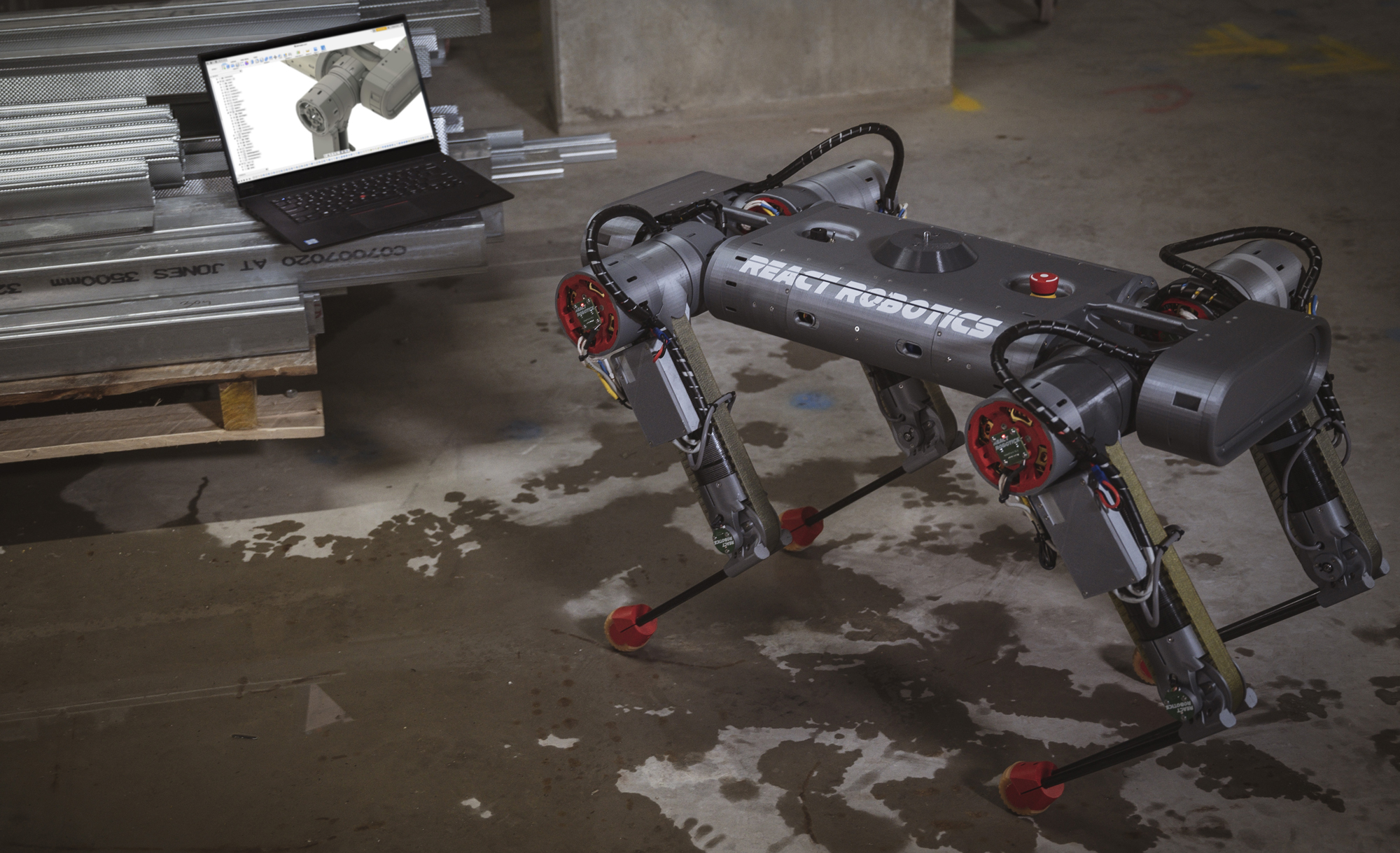 DogBot_with_ThinkPad_P1