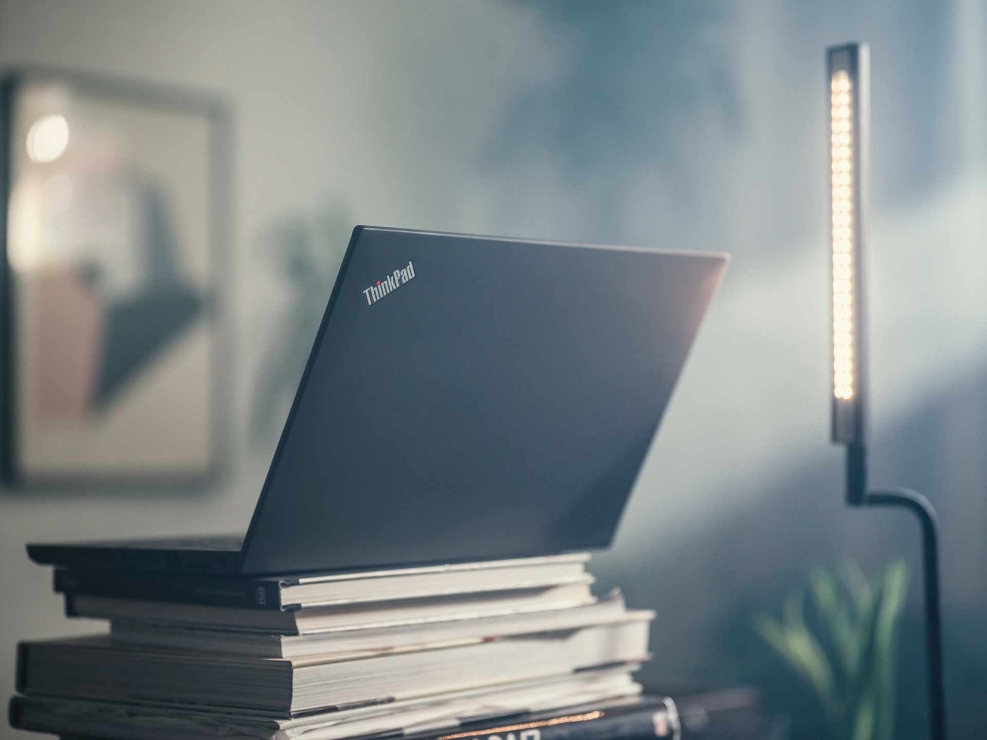 ThinkPad_on_Books