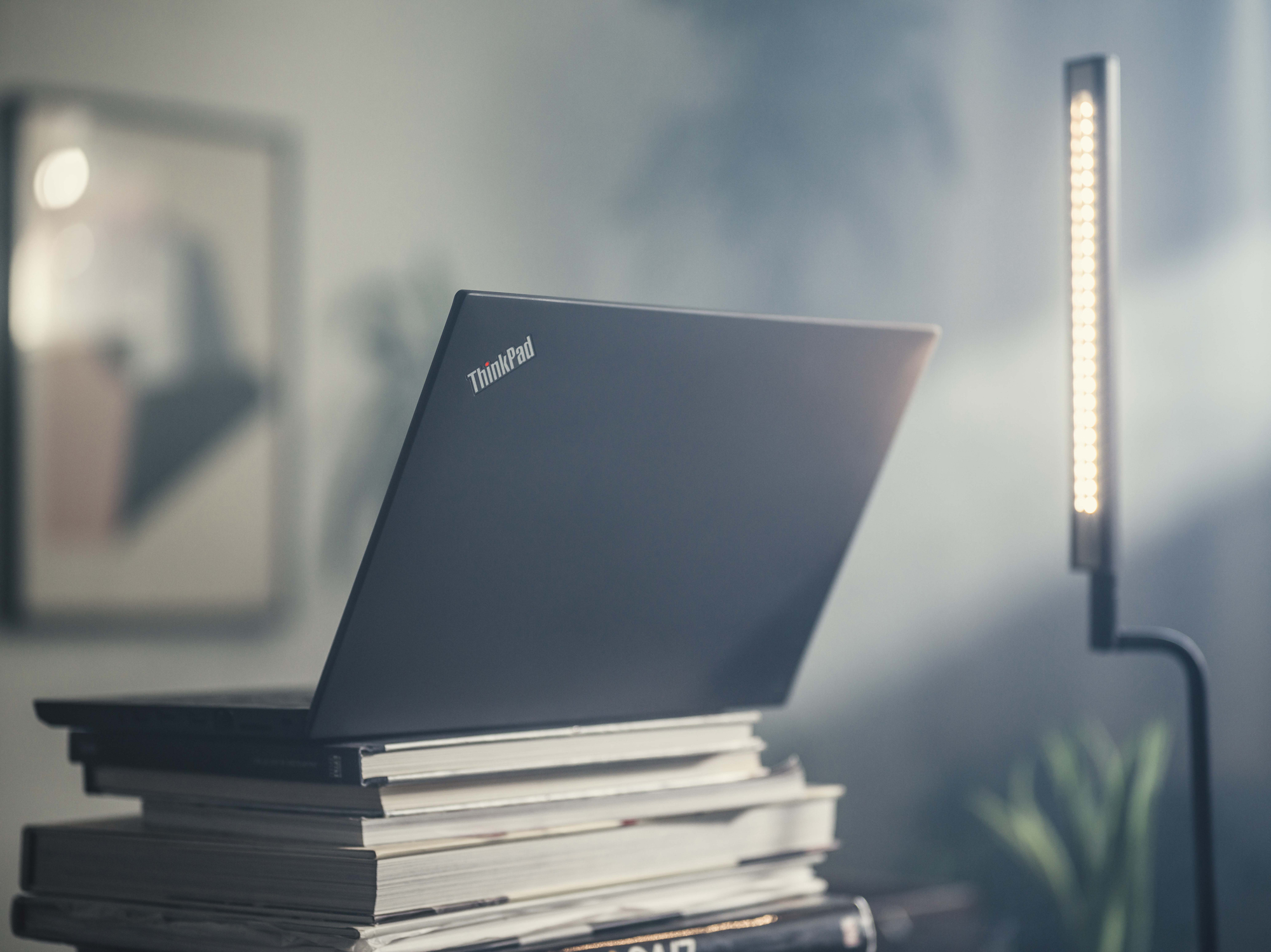 ThinkPad_Books